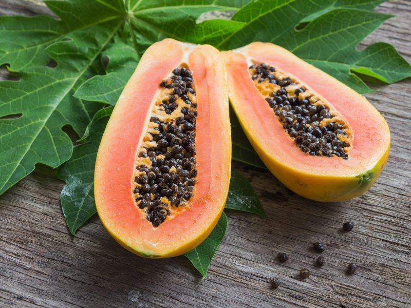 Papaya