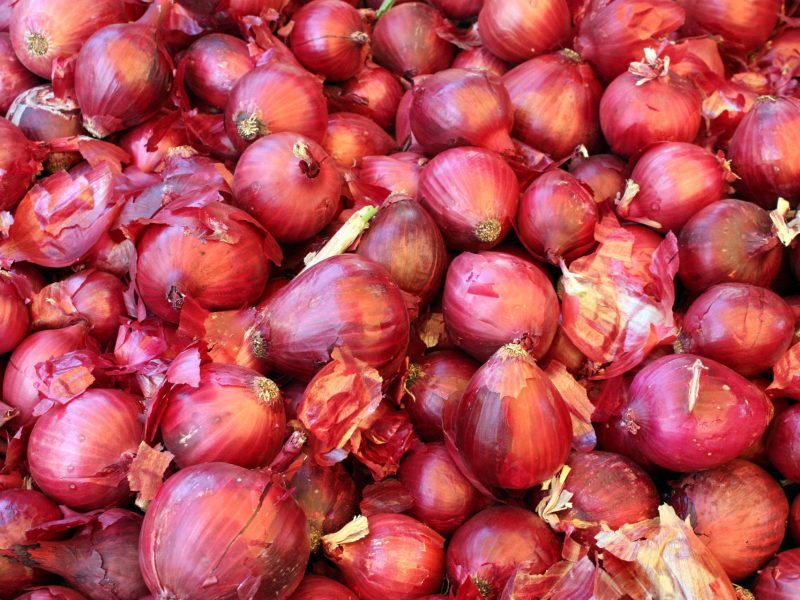 array-of-red-onions-small-to-large-size-qp6bh0604x46m4am