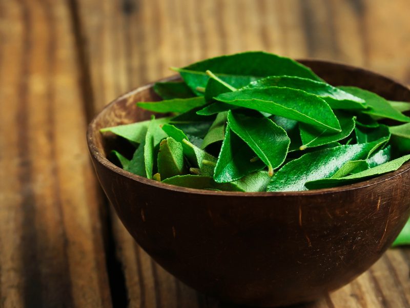 fresh_curry_leaf_shutterstock_1570477715